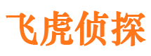 肥城市婚外情调查